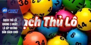 Bạch Thủ Lô Khung 3 Ngày