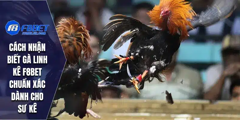 Cách Nhận Biết Gà Linh Kê
