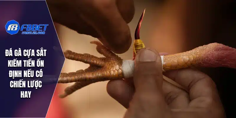 Đá gà cựa sắt kiếm tiền ổn định nếu có chiến lược hay