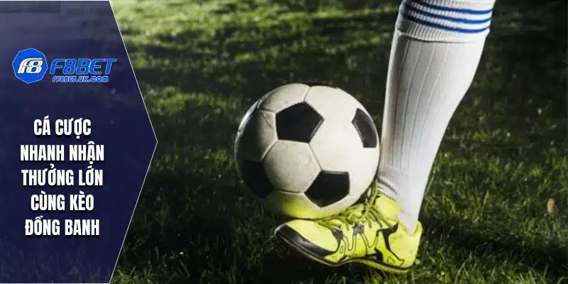 Cá cược nhanh nhận thưởng lớn cùng kèo đồng banh