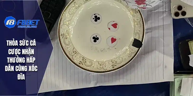 Thỏa sức cá cược nhận thưởng hấp dẫn cùng xóc đĩa